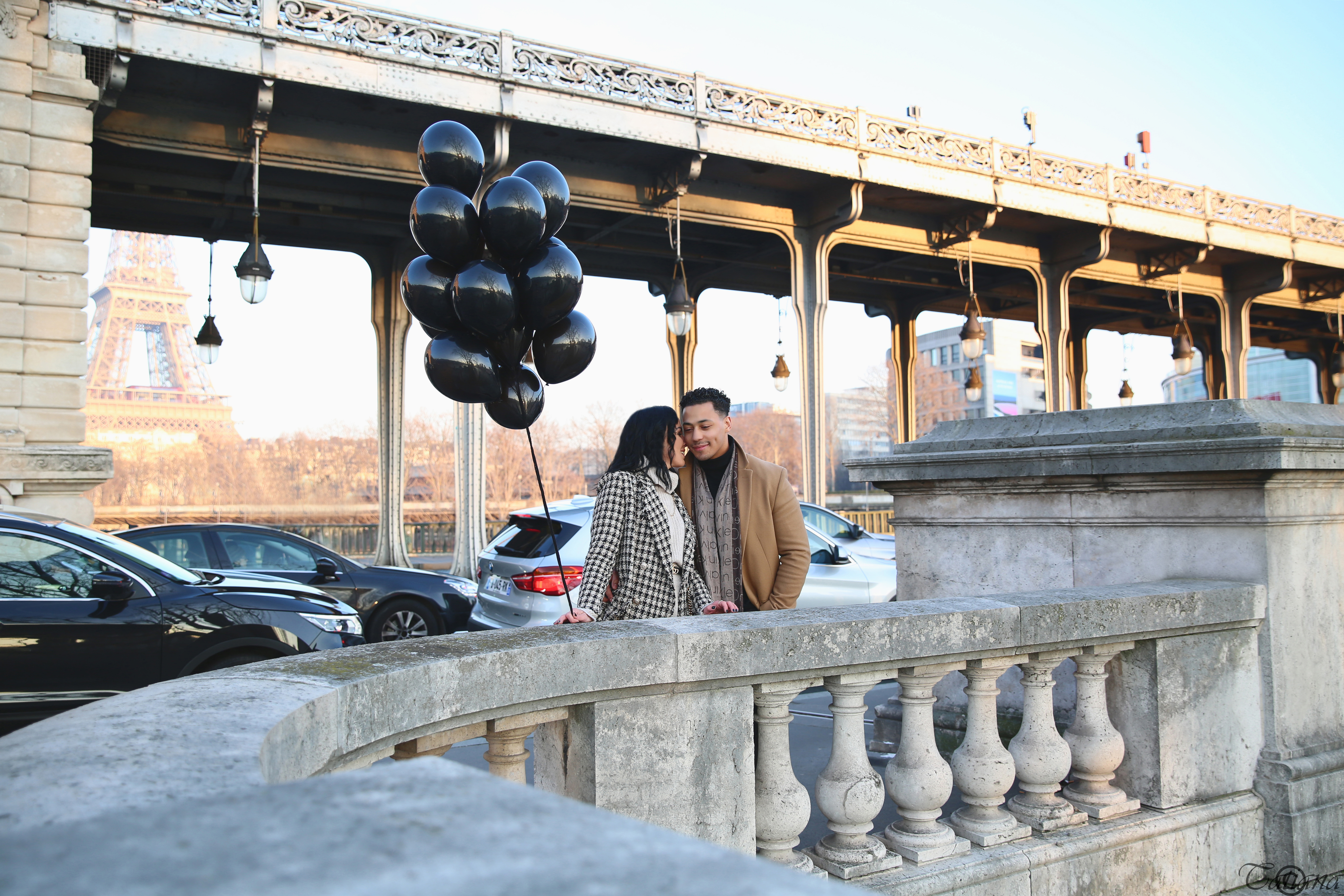 proposal in paris